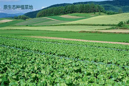 幸福新农村-互联网+农业养殖